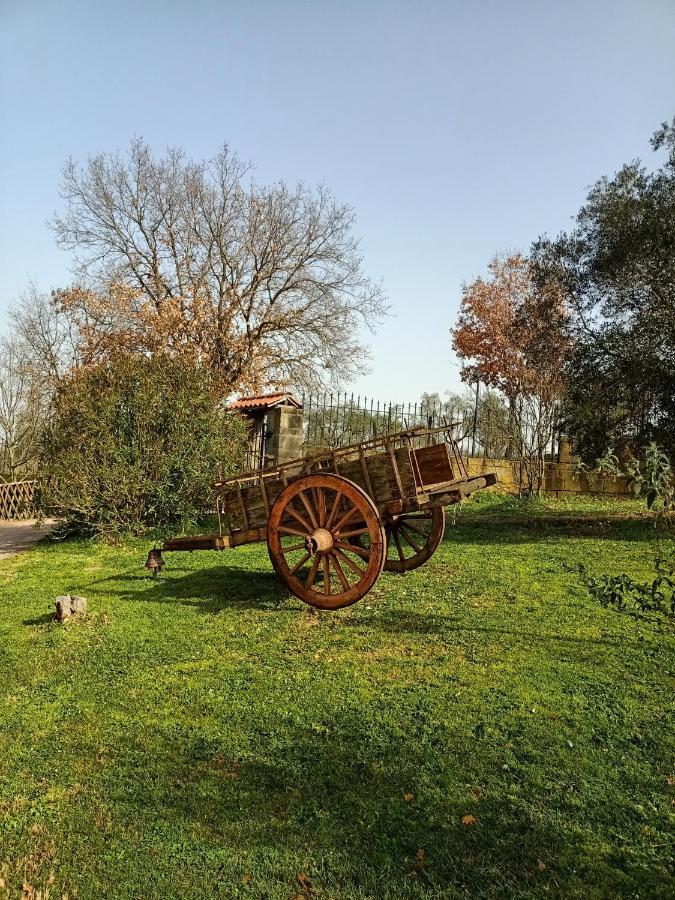 Rifugio Di Campagna Villa Vitorchiano Dış mekan fotoğraf